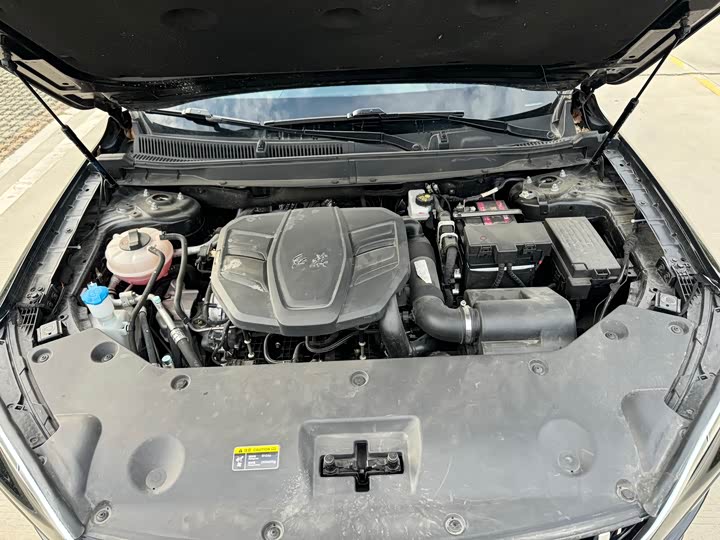 Hongqi HS5 2023 2.0 T 4 WD Pro — фото 12