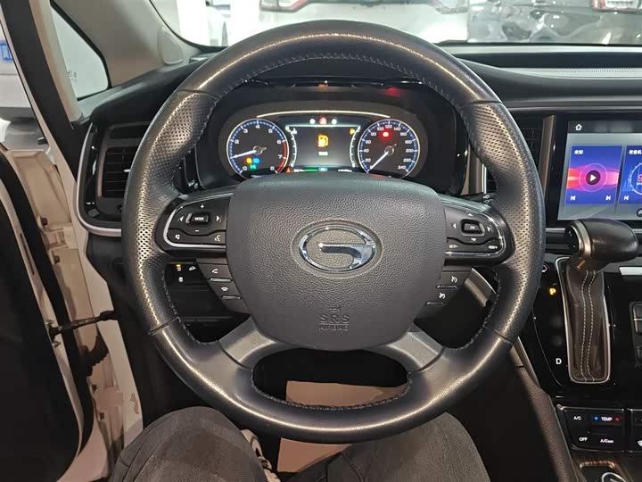 Trumpchi M8 2020 390 T — фото 11