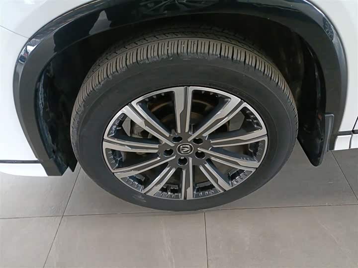 Changan CS75 PLUS 2023 2.0 T ATPremium — фото 25