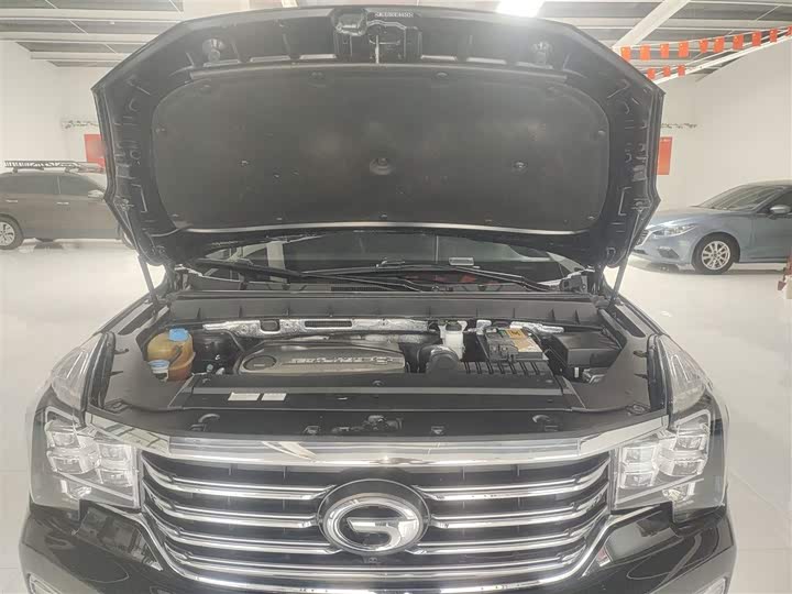 Trumpchi GS8 2017 320 T 2 WD ( ) — фото 16