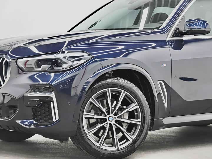 BMW X5 2022 x Drive 30 Li M — фото 8