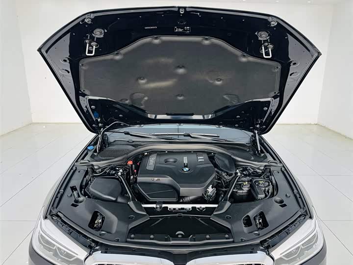 BMW 5-Series 2018 530 Li Leading M — фото 25