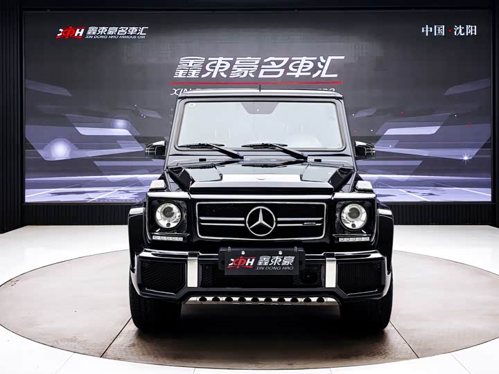 Mercedes-Benz G-Class 2016 AMG G 63 Edition 463 — фото 2