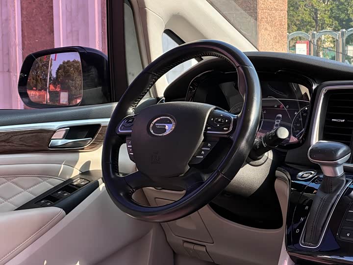 Trumpchi M8 2018 320 T — фото 17
