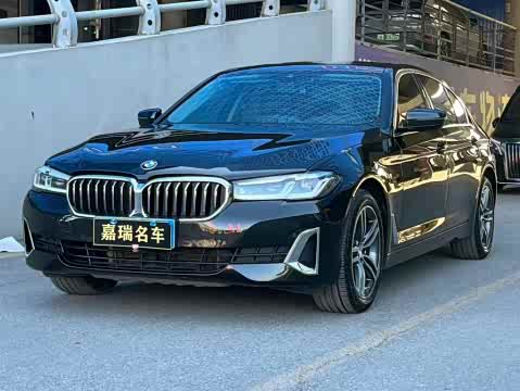 BMW 5-Series 2021 530 Li x Drive — фото 15