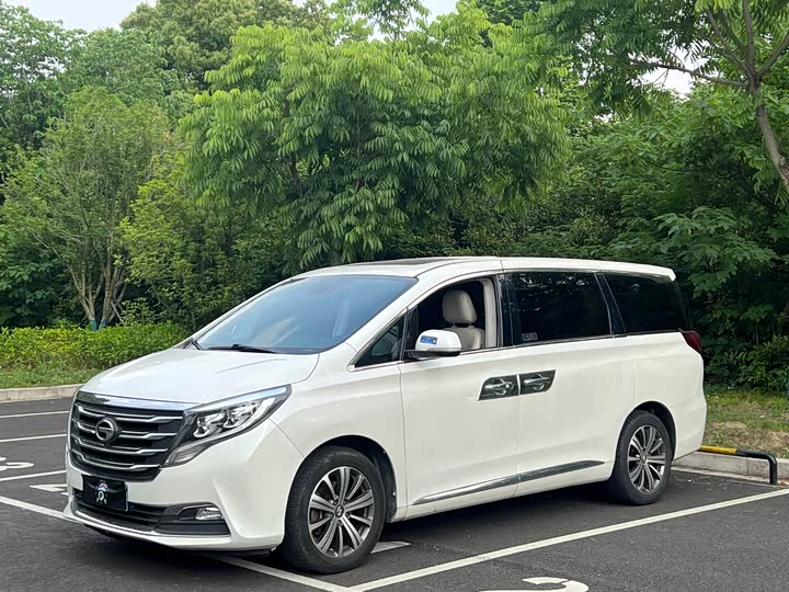 Trumpchi M8 2018 320 T — фото 1