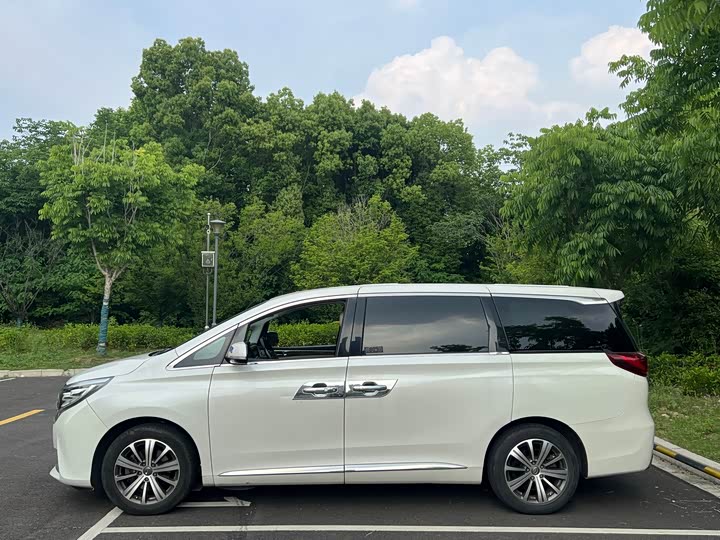 Trumpchi M8 2018 320 T — фото 4
