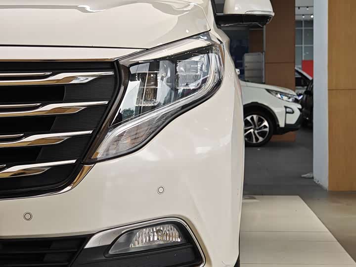 Trumpchi M8 2018 320 T — фото 2