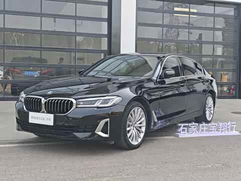 BMW 5-Series 2021 530 Li — фото 17