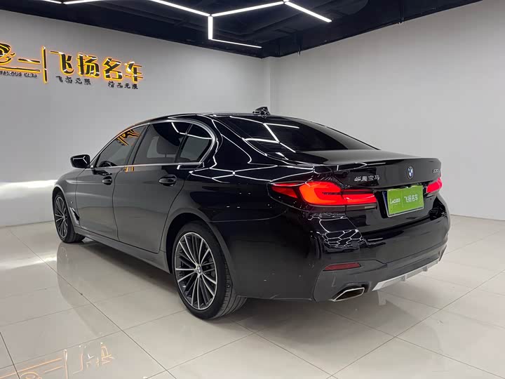 BMW 5-Series 2021 530 Li Leading M — фото 17