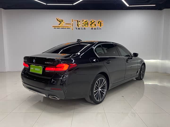 BMW 5-Series 2021 530 Li Leading M — фото 15