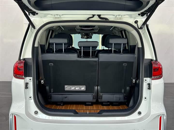 Trumpchi M8 2020 390 T — фото 13