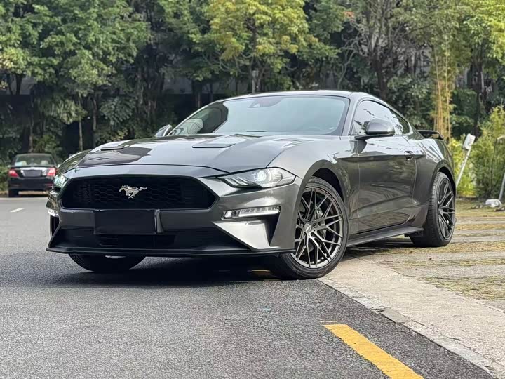 Ford Mustang 2020 2.3 L Eco Boost — фото 13