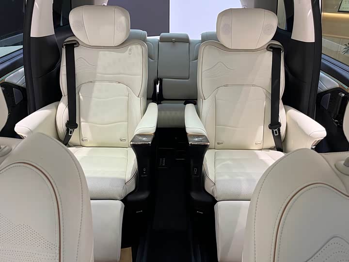 Trumpchi E9 2023 E 9 MAX — фото 12