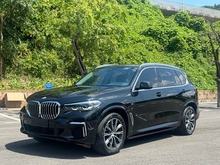 BMW X 5 2022 x Drive 30 Li M