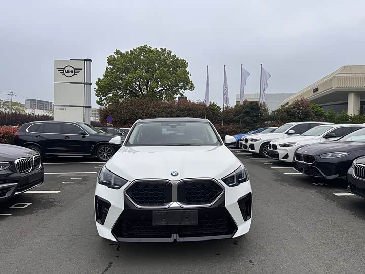BMW X2 2024 s Drive 25i M — фото 2