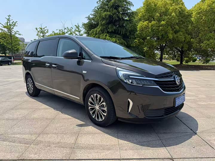 Buick GL8 652T люкс — фото 2