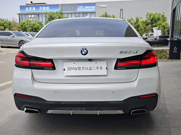 BMW 5-Series 2022 530 Li Leading M — фото 5