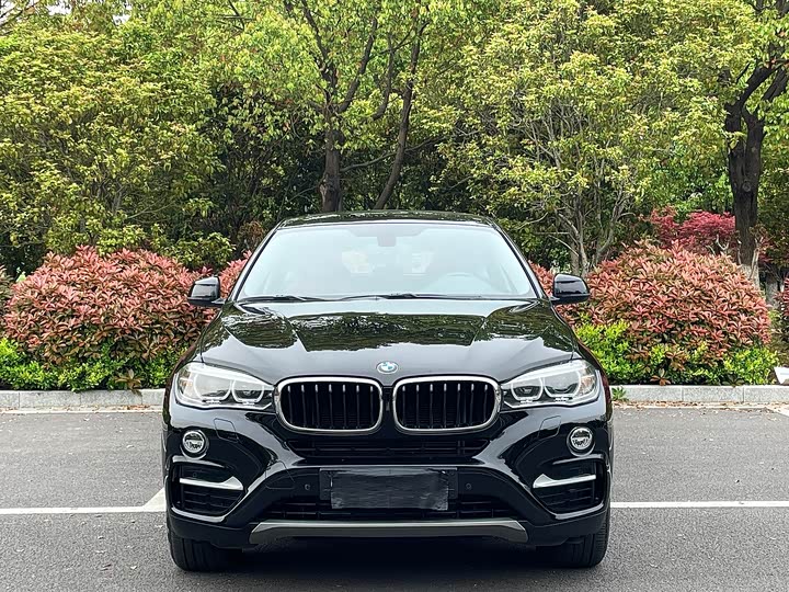 BMW X6 2017 x Drive 35i Leading — фото 2