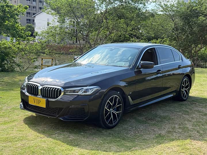 BMW 5-Series 2021 530 Li Leading M — фото 1