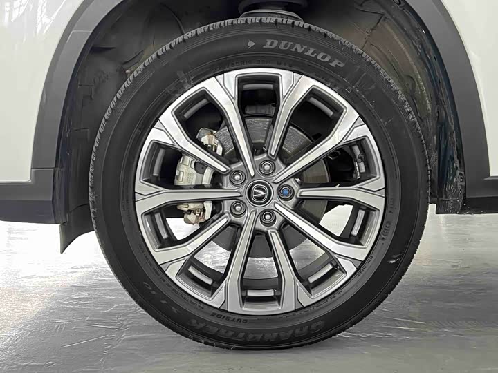Changan CS75 PLUS 2021 2.0 T AT — фото 6
