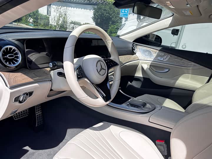 Mercedes-Benz CLS 2022 CLS 300 Luxury — фото 8
