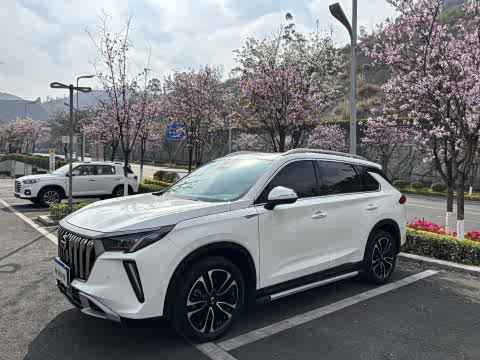Trumpchi GS4 PLUS 2023 390 T AT — фото 17