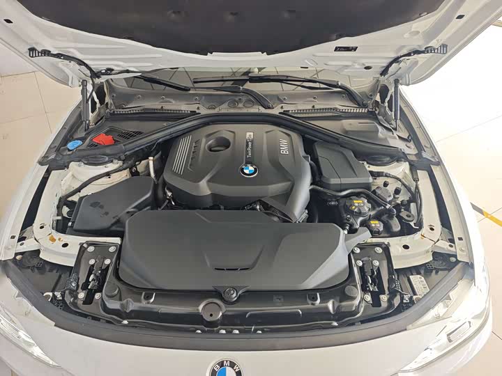 BMW 3-Series 2018 320 Li Leading — фото 25