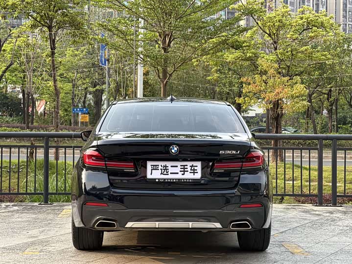BMW 5-Series 2023 530 Li Leading M — фото 8
