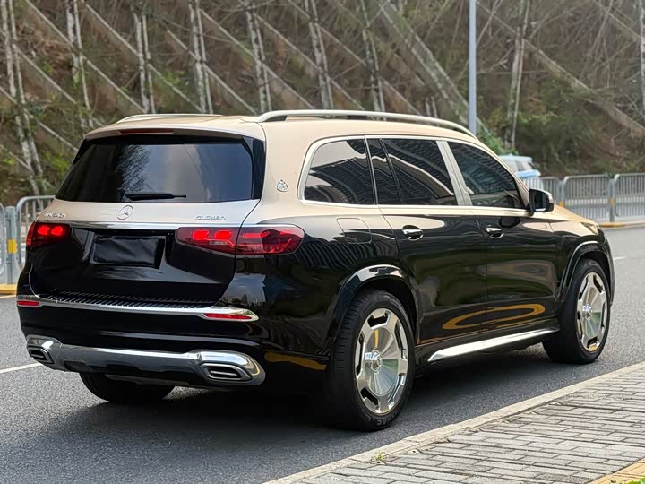 Mercedes-Benz GLS 2024 GLS 450 4 MATIC Luxury — фото 13