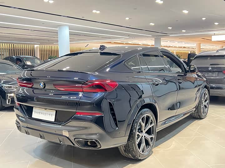 BMW X6 2022 x Drive 40i M — фото 19