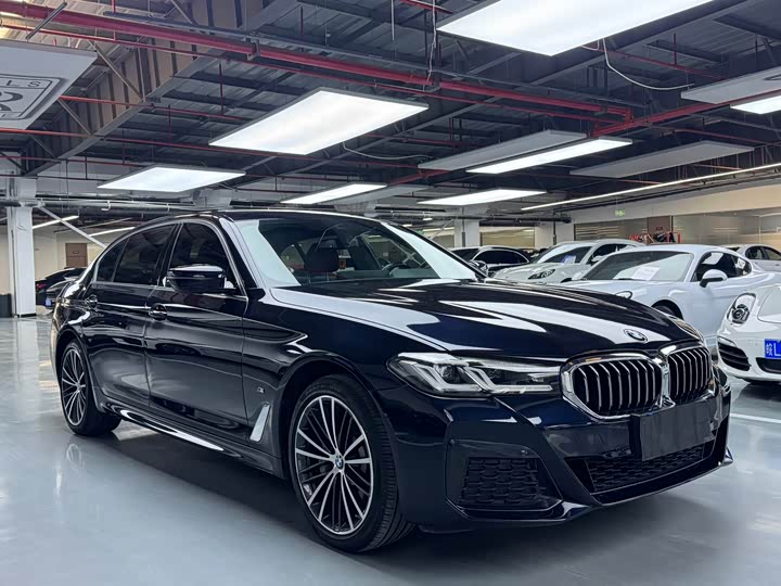 BMW 5-Series 2021 530 Li Leading M — фото 3
