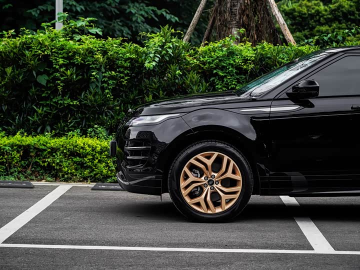 Land Rover Range Rover Evoque — фото 18