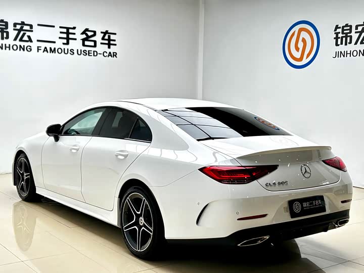 Mercedes-Benz CLS 2023 CLS 300 — фото 23