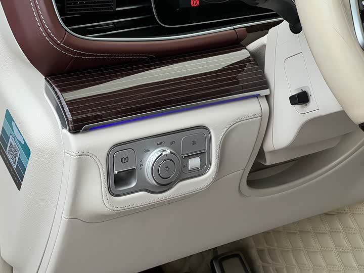 Maybach GLS 2021 GLS 480 4 MATIC — фото 25