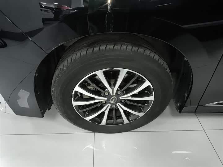 Trumpchi M8 2023 390 T — фото 25