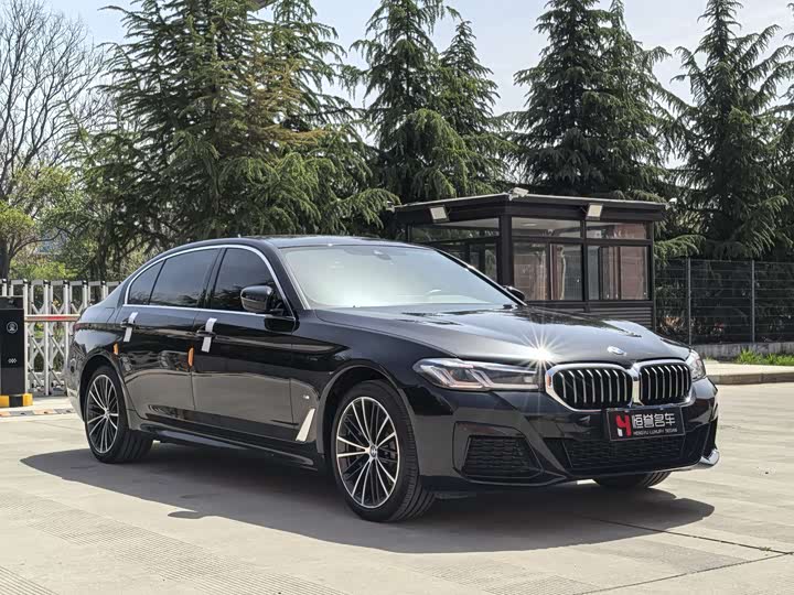 BMW 5-Series 2022 530 Li Leading M — фото 3