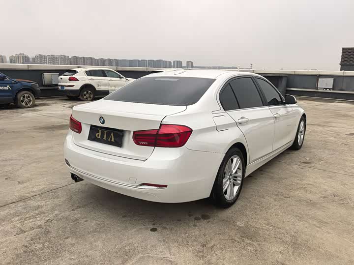 BMW 3 Series 320Li стиль — фото 14