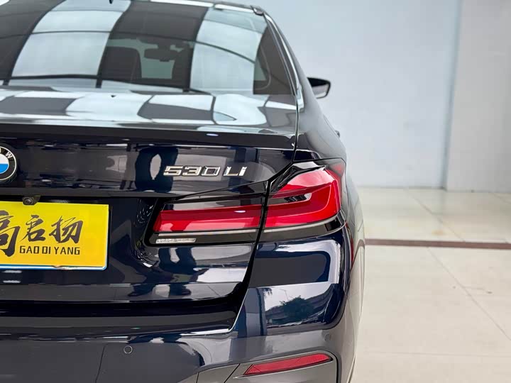 BMW 5-Series 2022 530 Li Leading M — фото 26