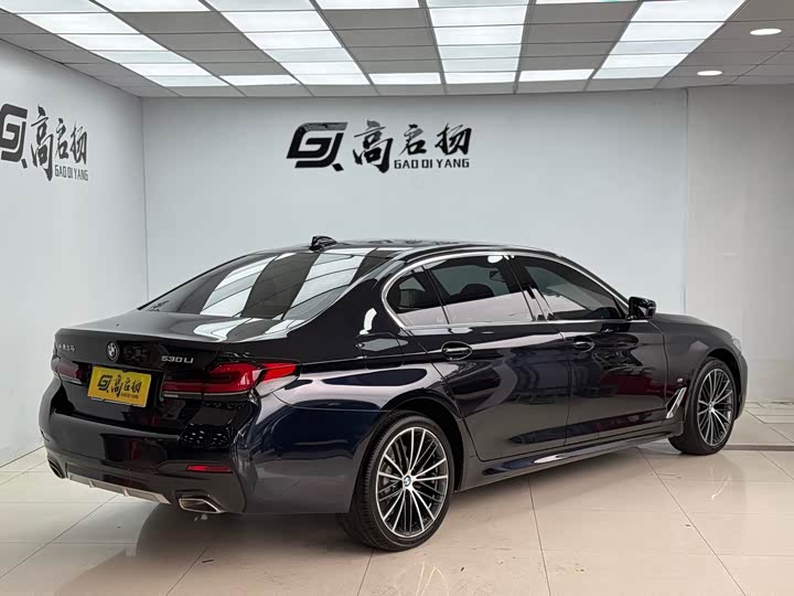 BMW 5-Series 2022 530 Li Leading M — фото 27