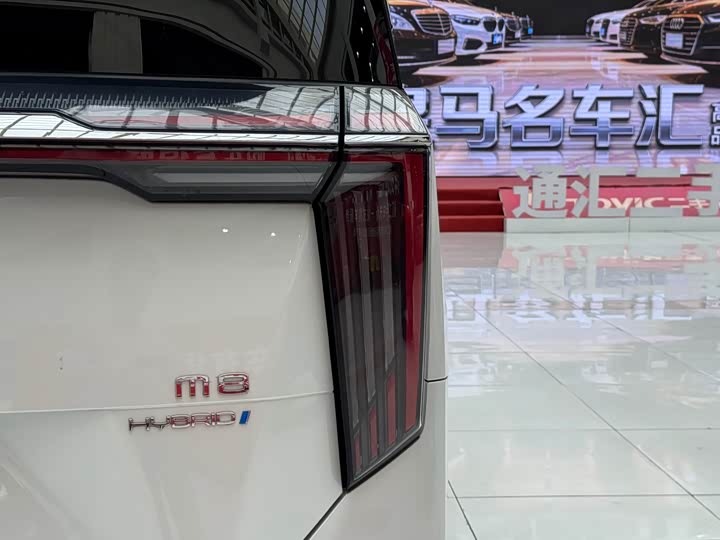 Trumpchi M8 2023 — фото 10