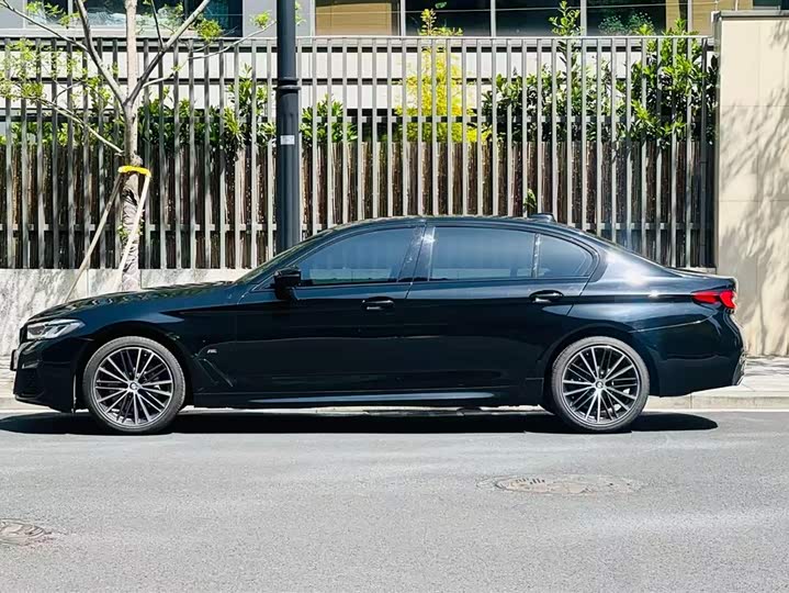 BMW 5-Series 2021 530 Li Leading M — фото 2