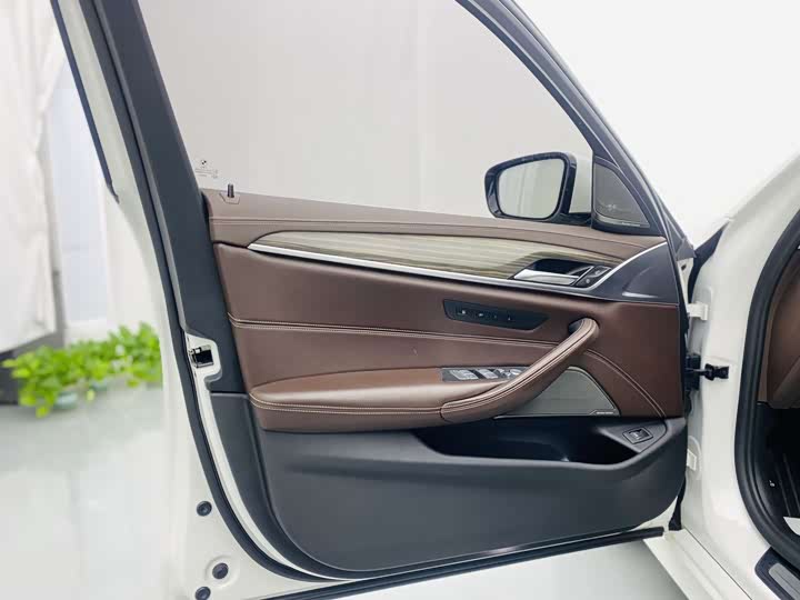 BMW 5-Series 2020 530 Li — фото 18