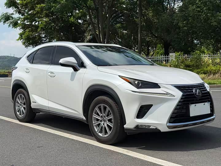 Lexus NX 2020 300h V — фото 3