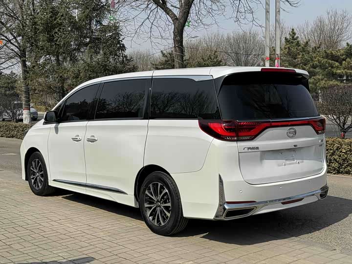 Trumpchi M8 2021 390 T — фото 5