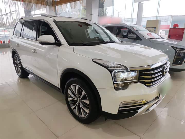 Trumpchi GS8 2017 320 T 2 WD ( ) — фото 4