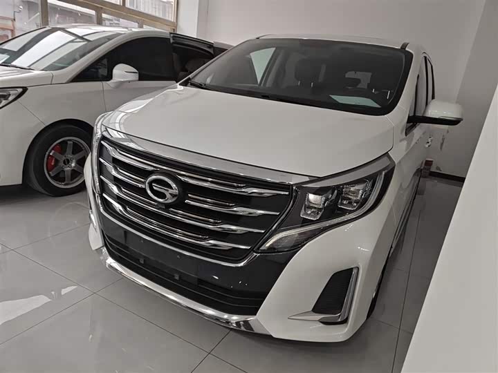 Trumpchi M8 2020 390 T — фото 1