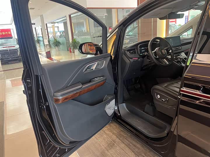 Hongqi HQ9 PHEV 2024 2.0 T 4 WD — фото 6