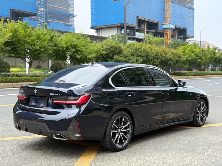 BMW 3 Series 320Li M спортпакет — фото 5