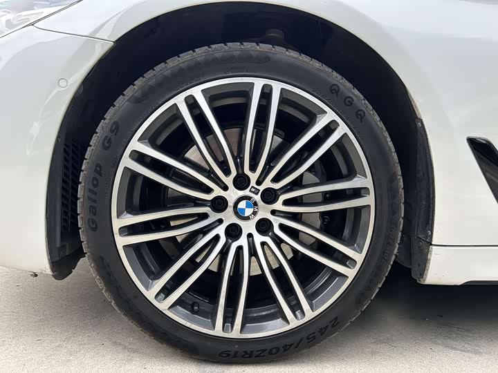 BMW 5-Series 2019 530 Li Leading M — фото 17